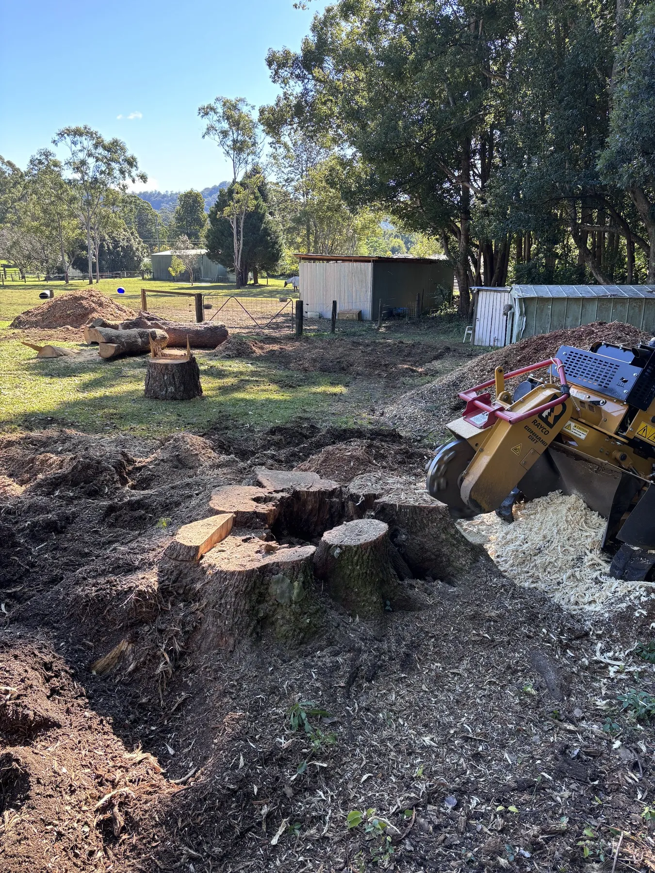 A line of cut stumps along a trenched garden bed on a rural property, with the stump grinder alongside